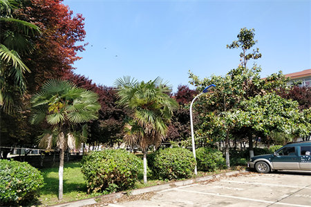 东平明湖中学贵和花园3室2厅1卫56万110m2可分期